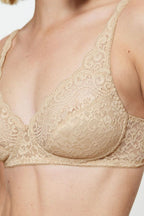  Soft model 229327 Triumph 
