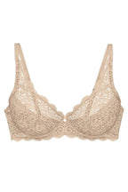  Soft model 229328 Triumph 