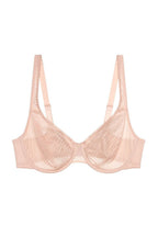  Soft model 229367 Triumph 