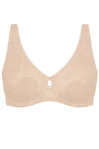  Soft model 229497 Triumph 