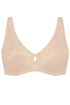  Soft model 229985 Triumph 