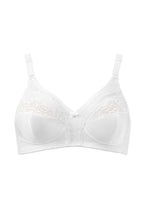  Soft model 229987 Triumph 