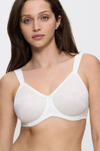 Soft model 230705 Triumph 