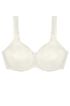  Soft model 230705 Triumph 